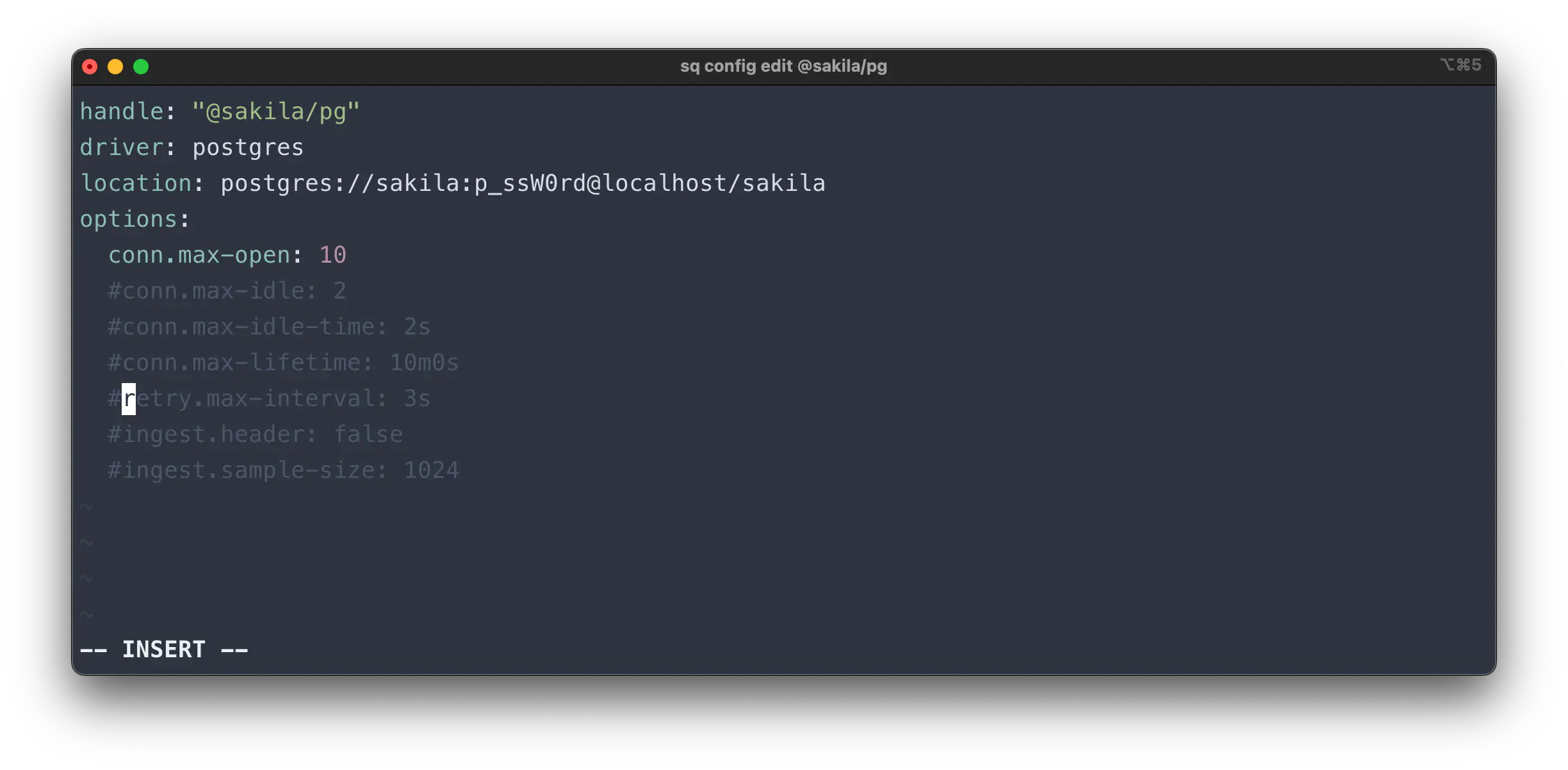 sq config edit src
