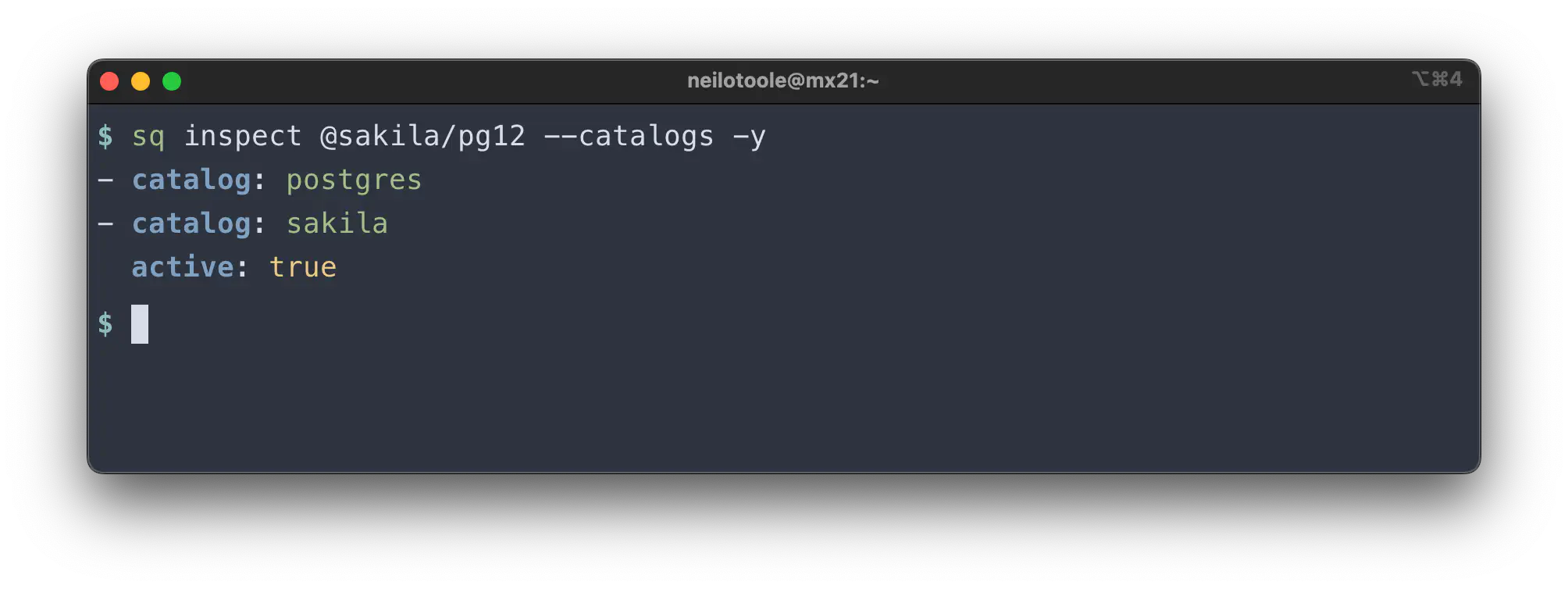 sq inspect source catalogs pg yaml