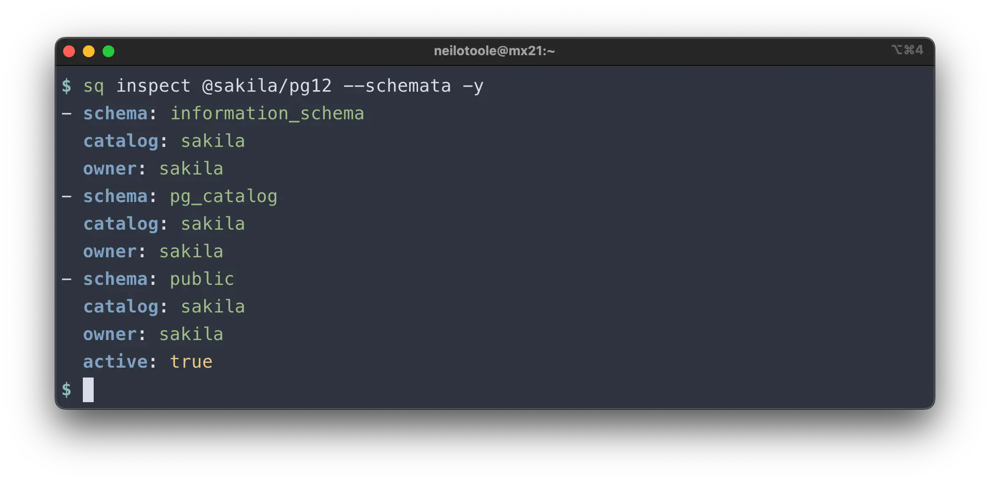 sq inspect source schemata pg yaml